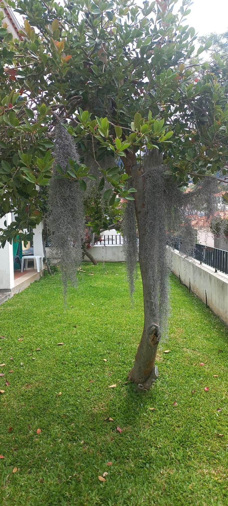 Villa Cosy Nook Funchal  Buitenkant foto
