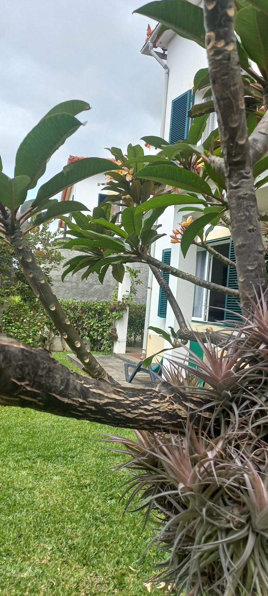Villa Cosy Nook Funchal  Buitenkant foto