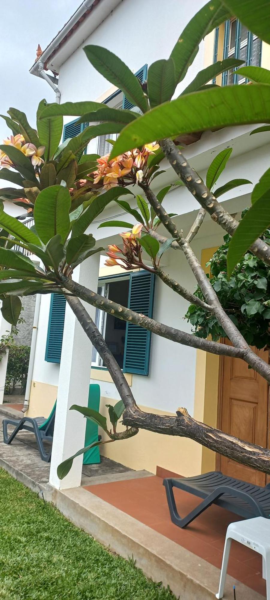 Villa Cosy Nook Funchal  Buitenkant foto